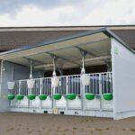 Quattro XL Kalverhut voorkant 2