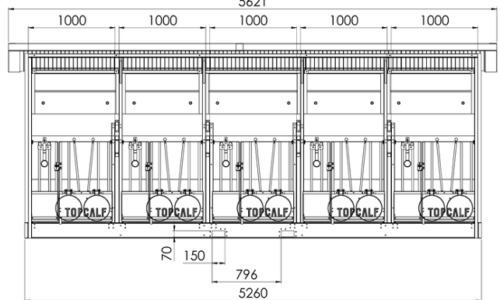 Screenshot 2025-07-02 143001 quinto calf hutch dimensions