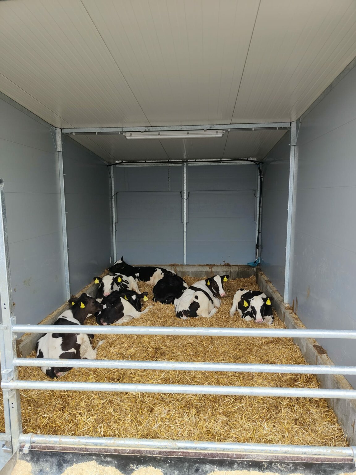 Topcalf Kälberstall - Topcalf - Gruppenhaltung Kälber