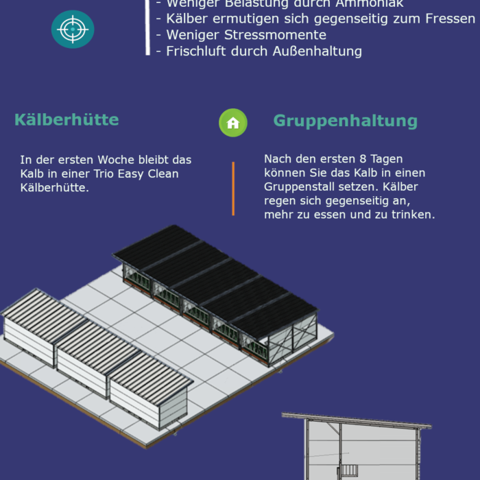 Kälberhaltung mit Perspektive