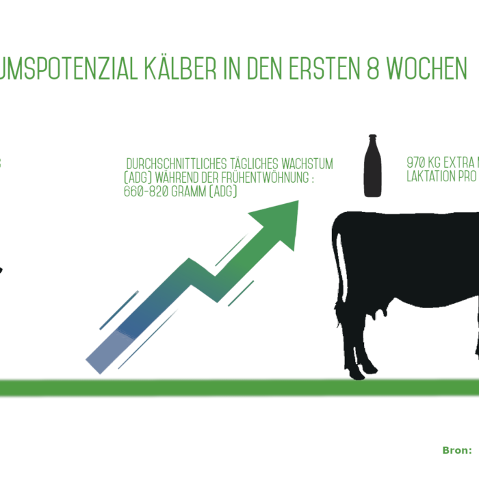 Wachstumspotential der Kälber in den ersten 8 Wochen !