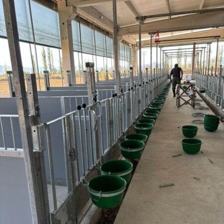 463861054_1110469274413124_4946555927192072014_n Grondhokken