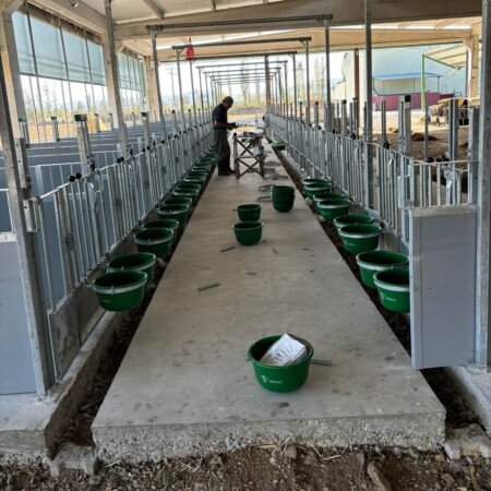 463861540_1110469041079814_2128793545446908684_n Grondhokken