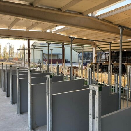 463866634_1110468624413189_4789156510815804473_n Grondhokken