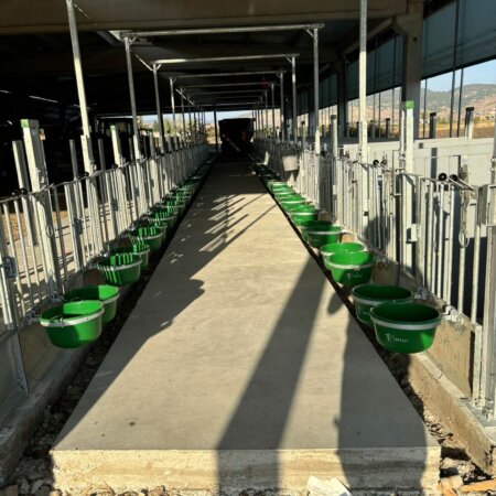 464180214_1110469891079729_2306707082494989440_n Grondhokken