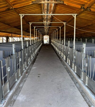 76da7492-2276-40f1-9fbe-a3b8f7499587 (1) 76da7492-2276-40f1-9fbe-a3b8f7499587 (1)