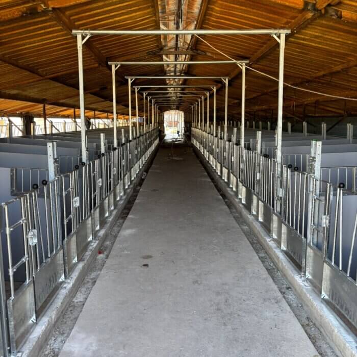 40 Topcalf-Kälberbuchten bei HCM in der Türkei installiert