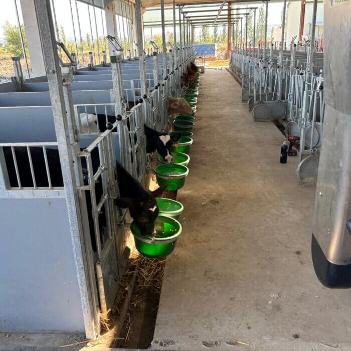 Raum zum Wachsen bei HCM