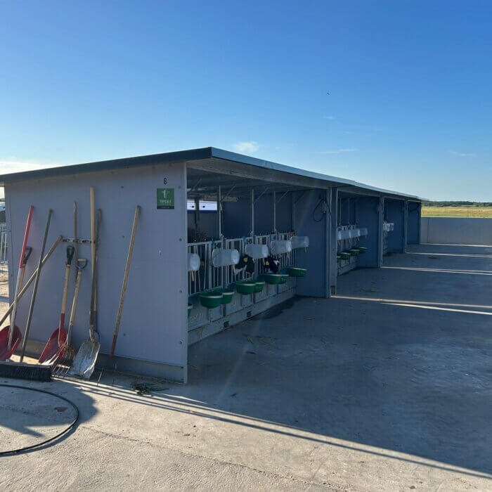 Kälberstraße in Dänemark