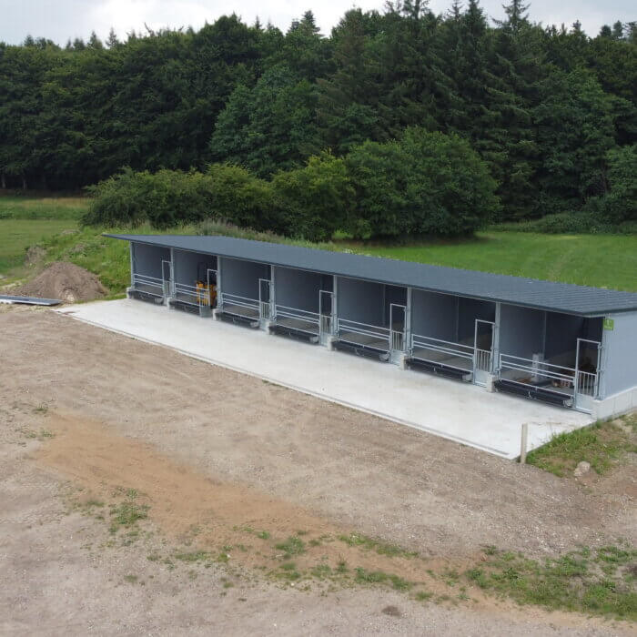 Der ideale Kälberstall für gesunde Kälber