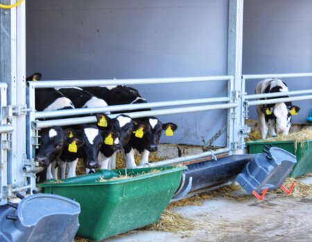 Afbeelding van WhatsApp op 2025-03-25 om 18.36.04_4ef5f922 Afbeelding van WhatsApp op 2025-03-25 om 18.36.04_4ef5f922