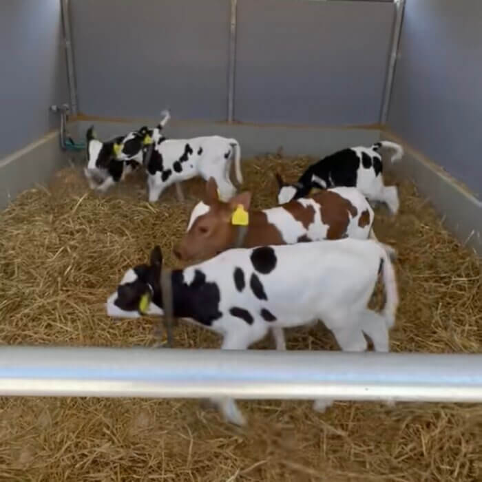 Starkes Fundament beginnt mit Raum zum Wachsen