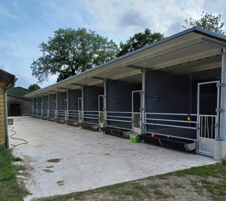 584882351_1461219192671462_4230245820524013325_n