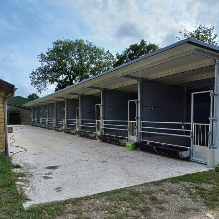 Starker Start für die Kälber in Schleswig-Holstein