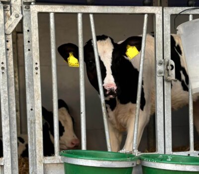 593607312_1322144419665028_3456218504719083346_n