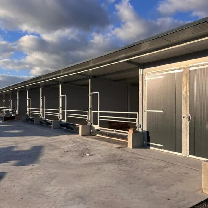 Optimierung der Kälberhaltung beim Milchviehbetrieb Fraune