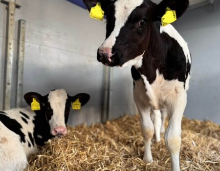 595208270_1397531805298324_5886850800925473796_n