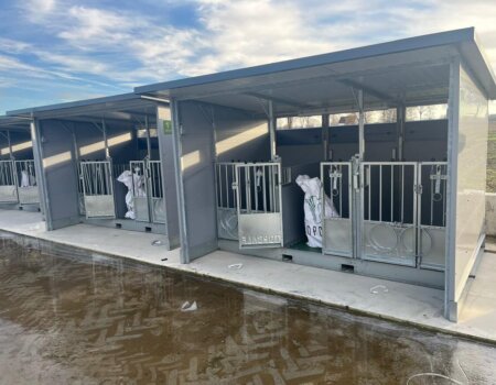 597290887_837051609089254_423297831874007097_n