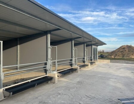 598010403_1546464893250762_5433647198074503428_n