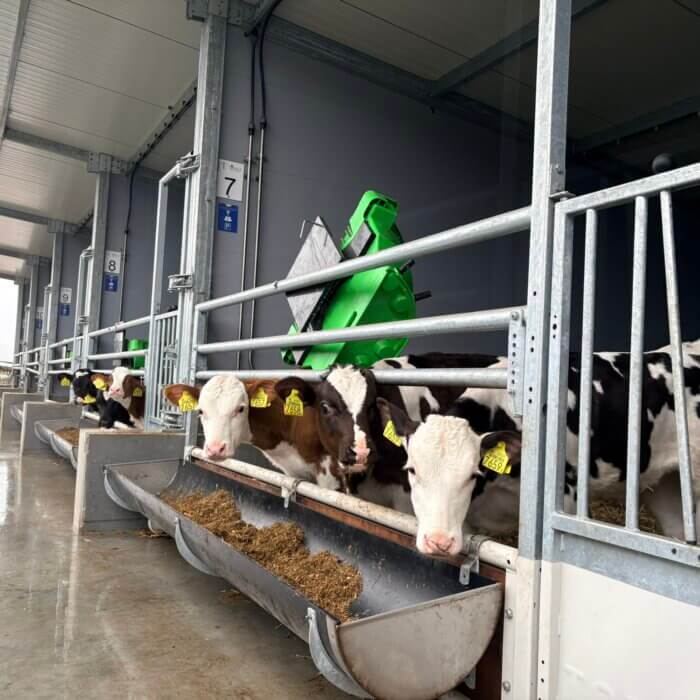 Wie schneiden Ihre Kälber bei den vier Bausteinen der Kälberaufzucht ab?