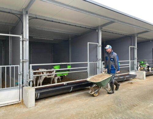 WhatsApp Image 2025-12-01 at 11.37.03