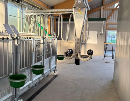 098aaf98-d3ec-446c-9d6a-7c3e1044c149 098aaf98-d3ec-446c-9d6a-7c3e1044c149