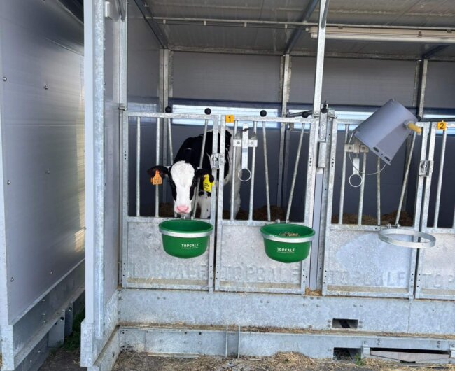 WhatsApp Image 2026-03-20 at 12.45.04 (1) WhatsApp Image 2026-03-20 at 12.45.04 (1)