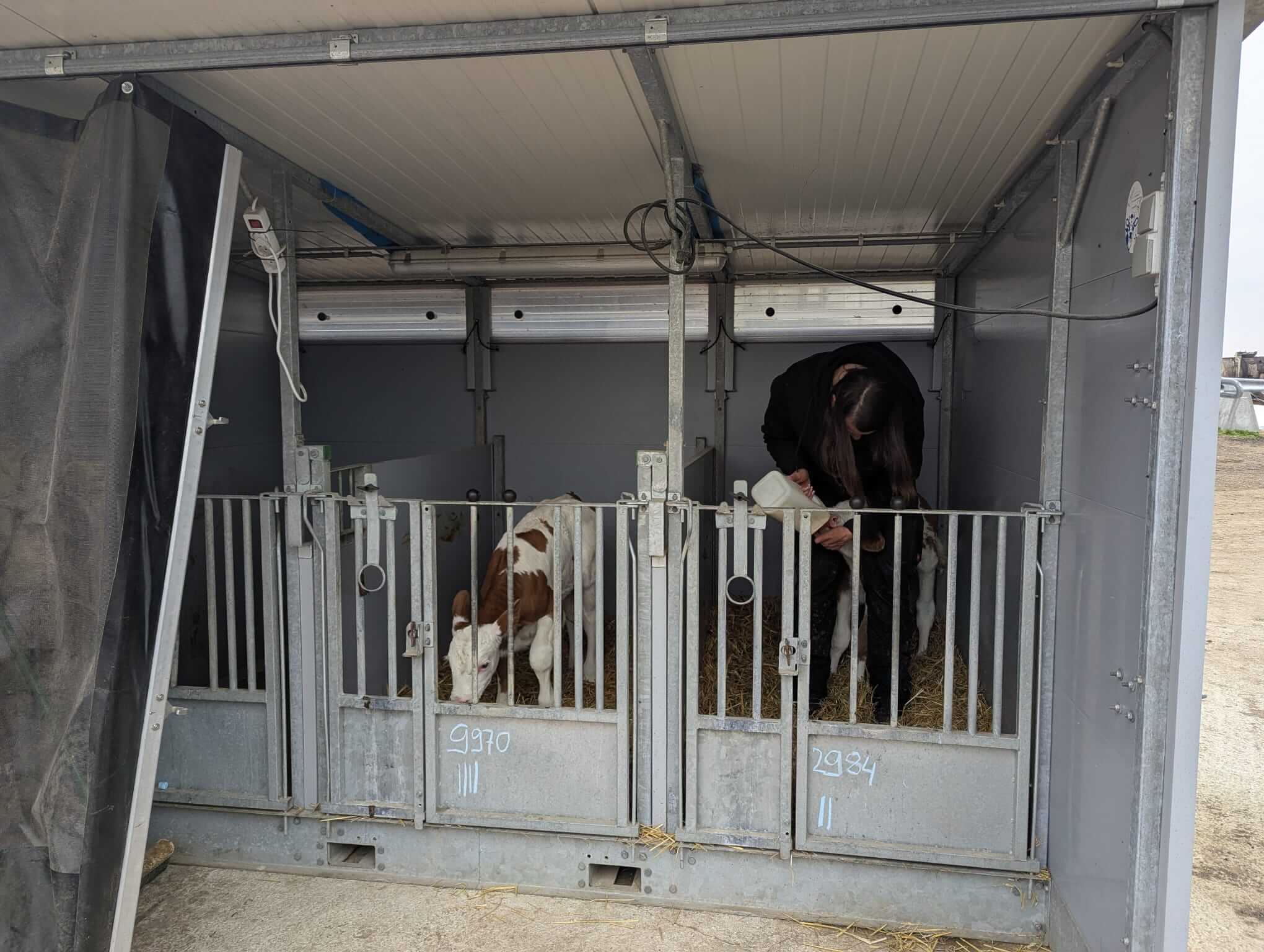 WhatsApp Image 2026-04-15 at 18.08.19 (1)