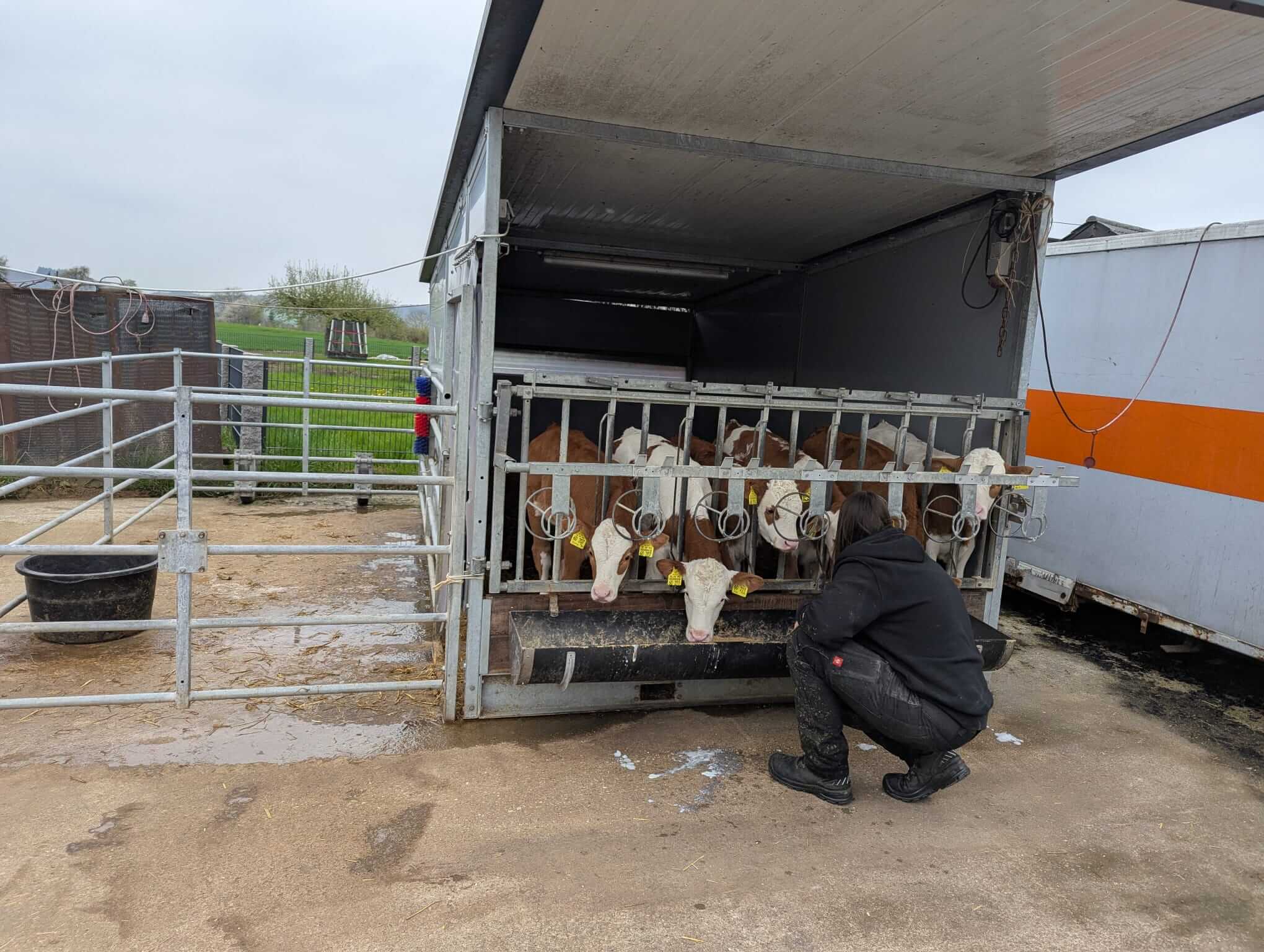 WhatsApp Image 2026-04-15 at 18.08.21