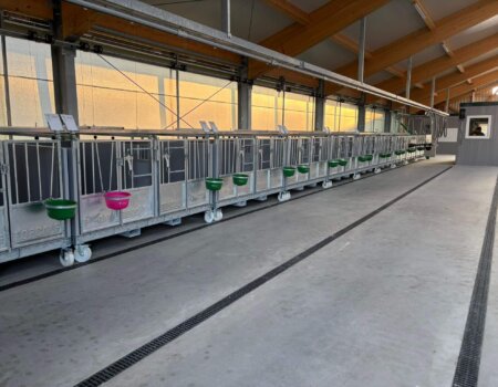 c916bc5e-a7d9-4752-95eb-d315a938f21c (1) c916bc5e-a7d9-4752-95eb-d315a938f21c (1)