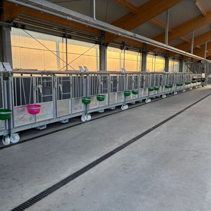 Effizientes und zukunftsorientiertes Kälberaufzuchtprojekt