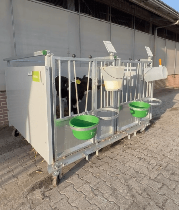 Sandra Meijer über ihre Erfahrungen mit den neuen Topcalf Kälberboxen