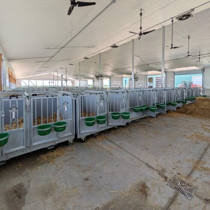 Neuer Kälberstall mit Topcalf Duo XL Kälberboxen in Kanada